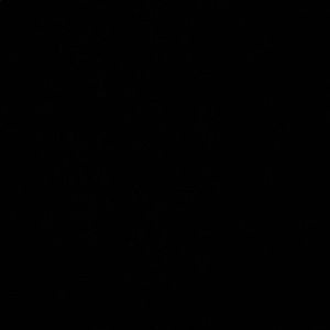 Meet your Posher, Lexee